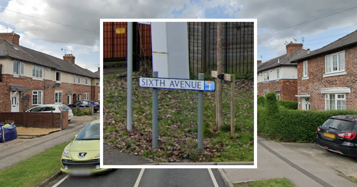 A cannabis farm worth £40,000 has been found in Tang Hall in York