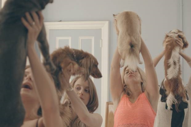 doga MIC