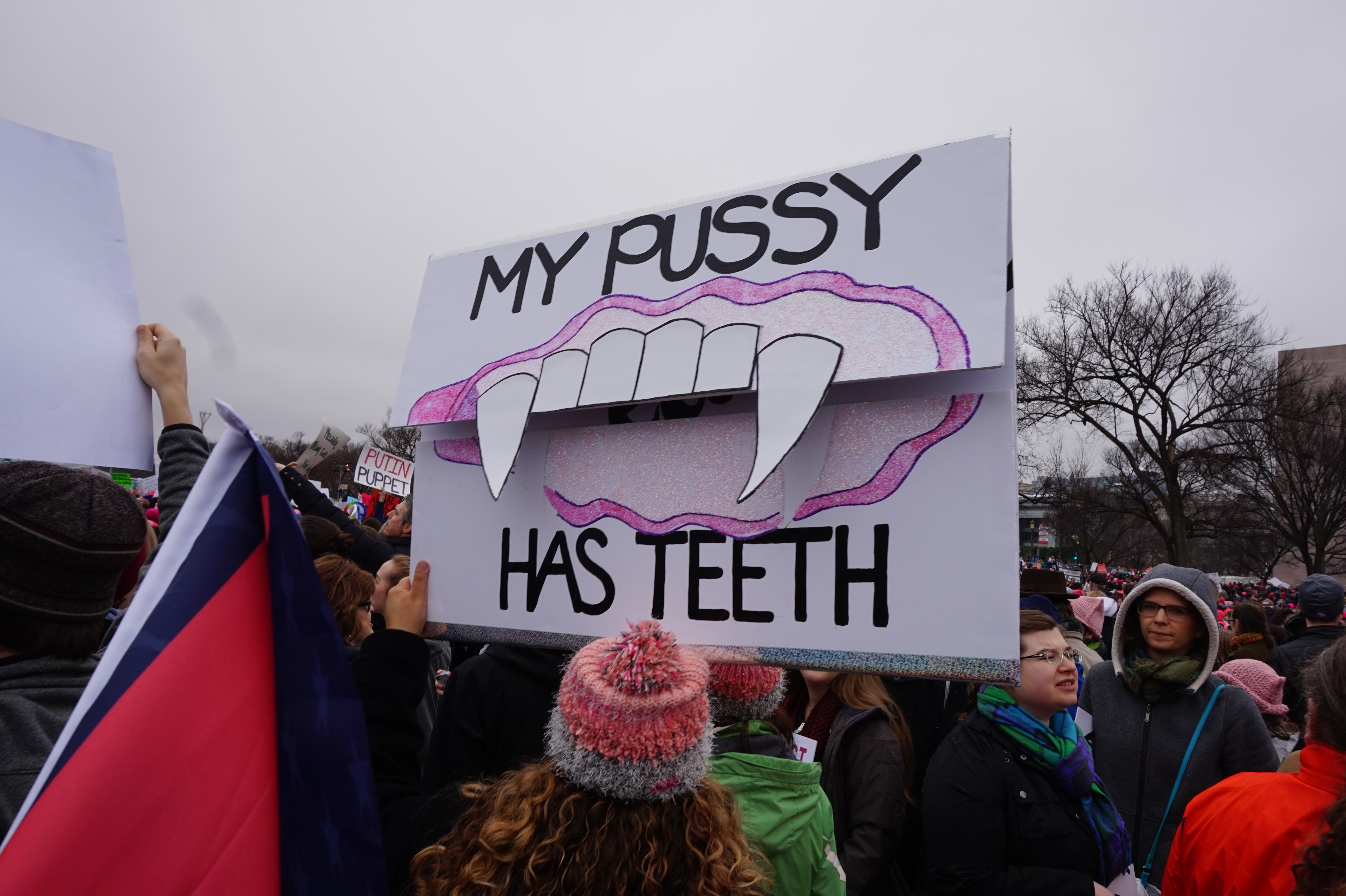 The absolute best protest signs from the Women's March on Washington5456 x 3632