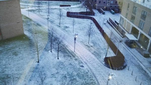 Ice Ice Baby