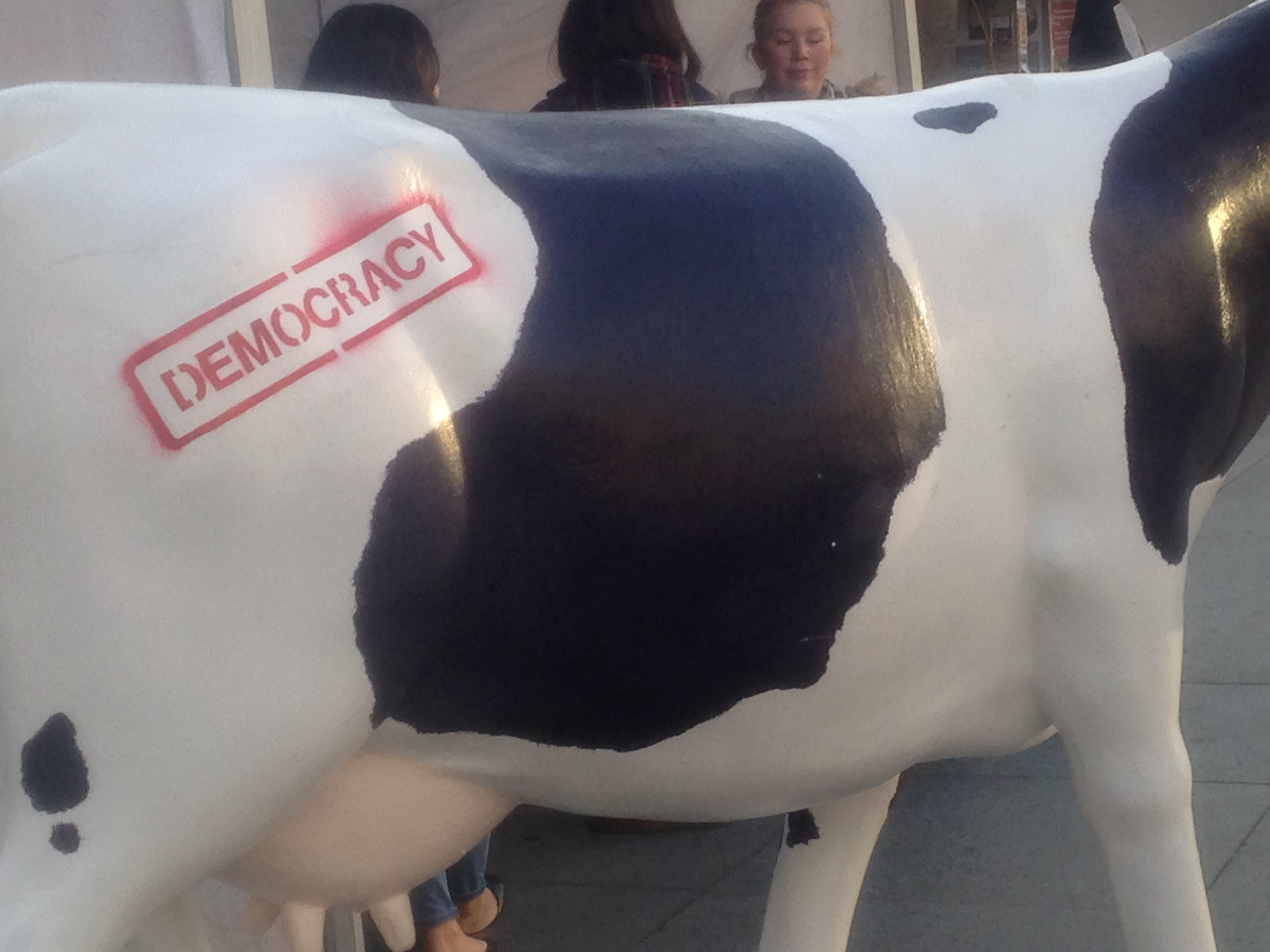 The LUSU Cow...'nuff said