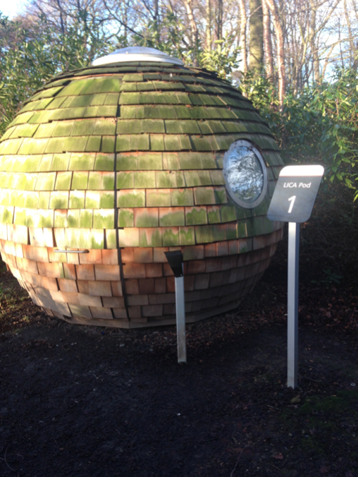 In a pod in the woods there lived a Lancaster Student...