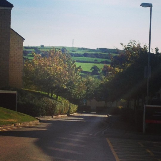 The hills are alivveee...