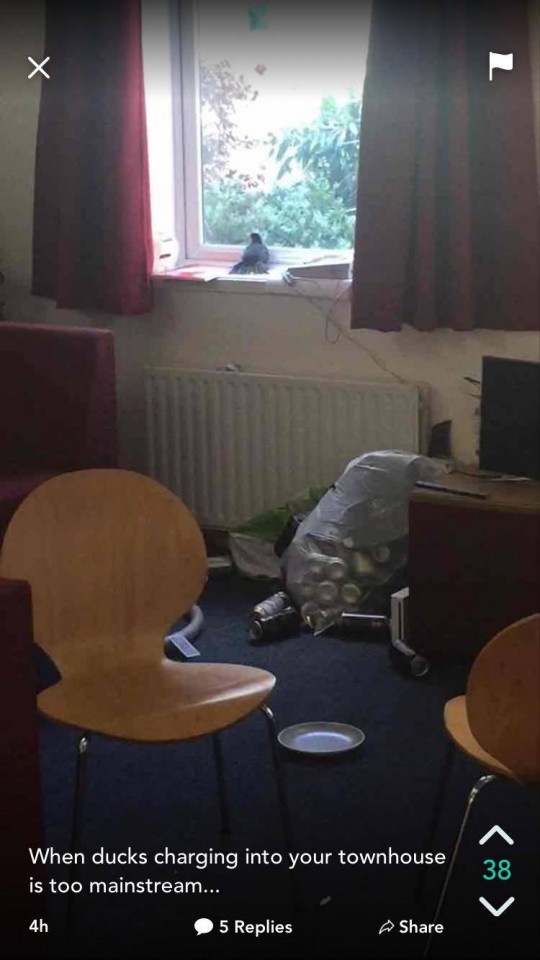Someone's had a heavy night...