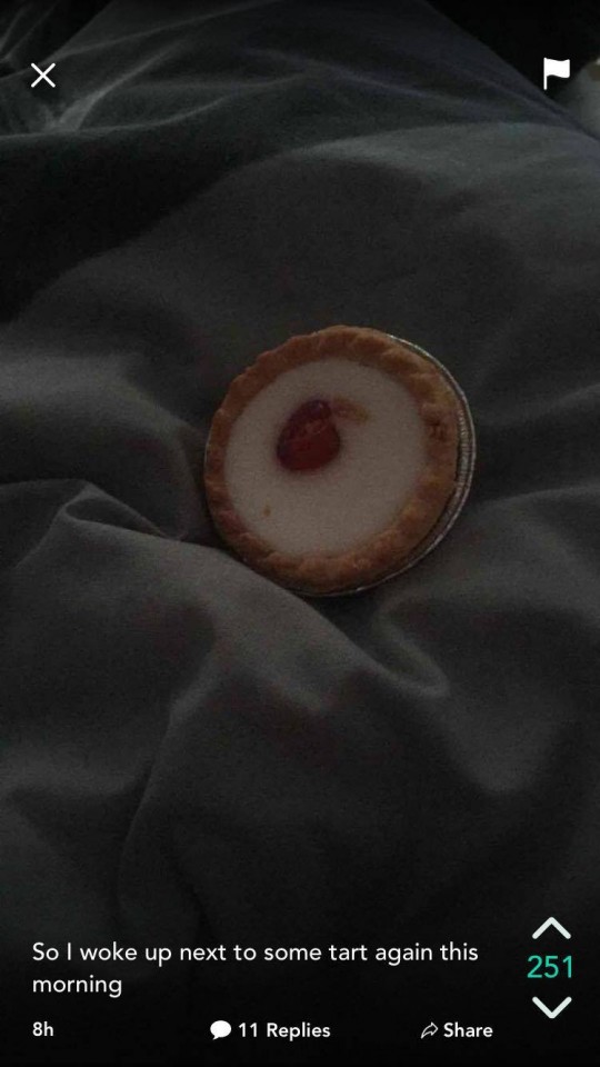 Hopefullly didn't leave any crumbs in the bed