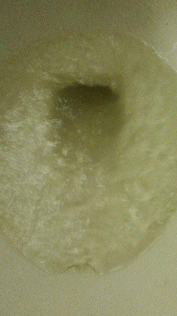The toilet water in the loft