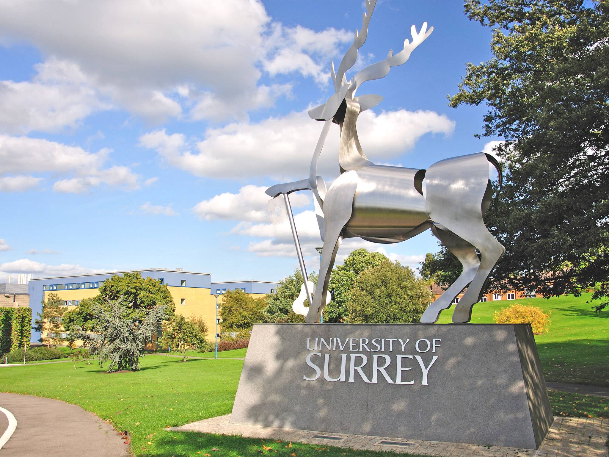 Should have gone to Surrey?