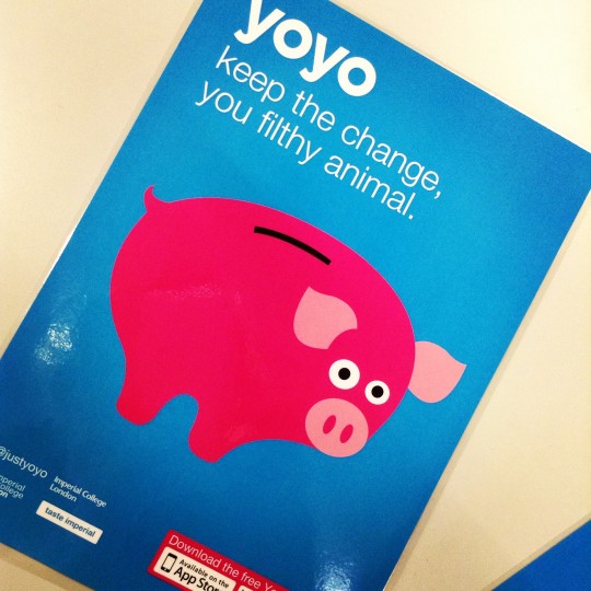 pig poster