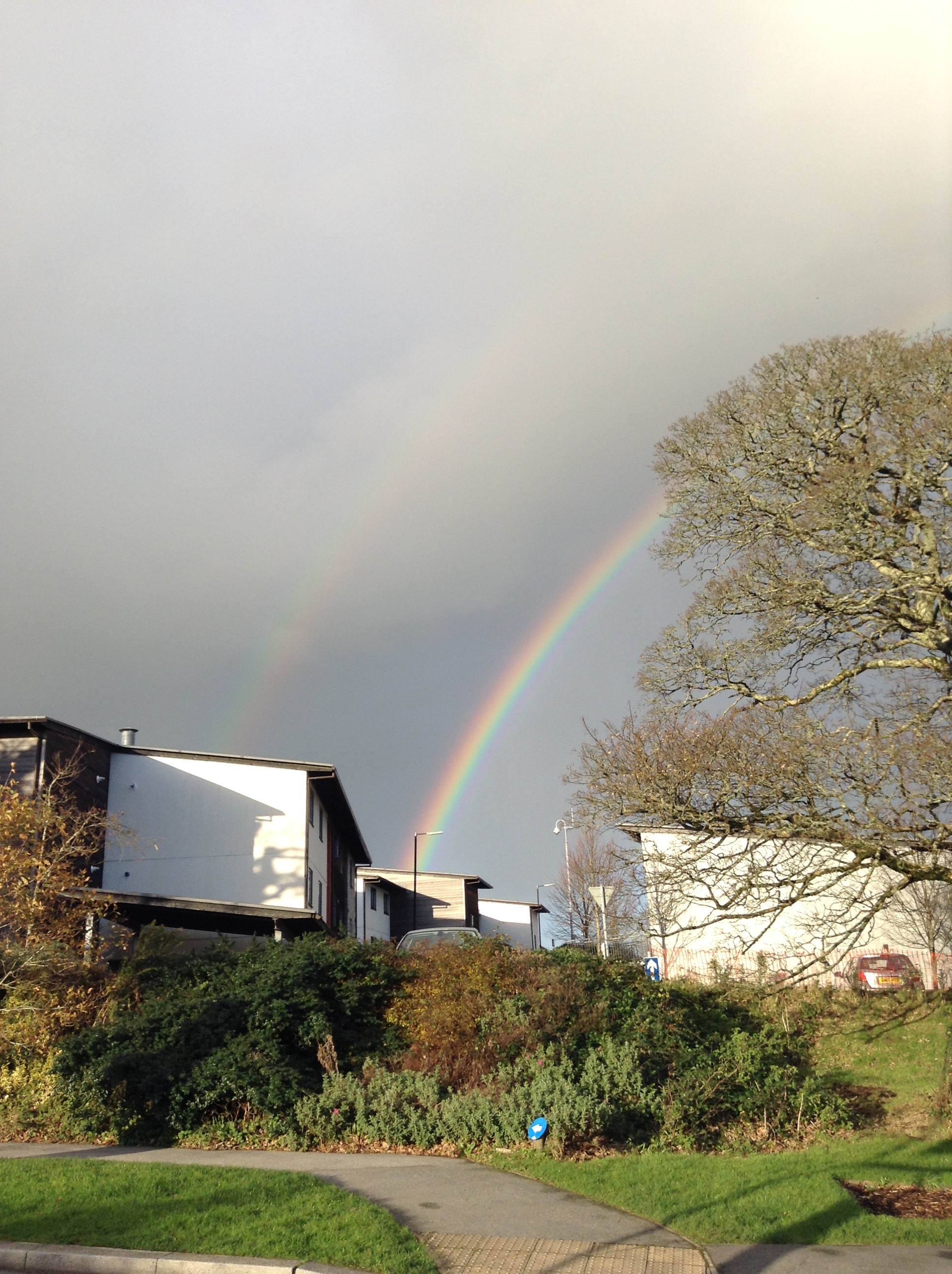 Look how lush Penryn Campus is though.