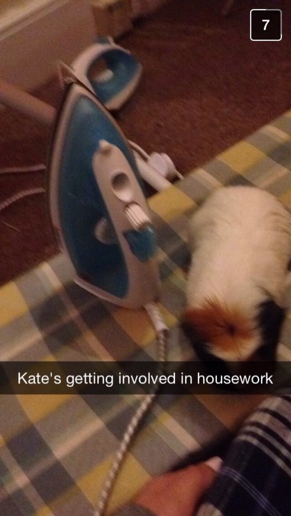 Kate Middleton earning her keep