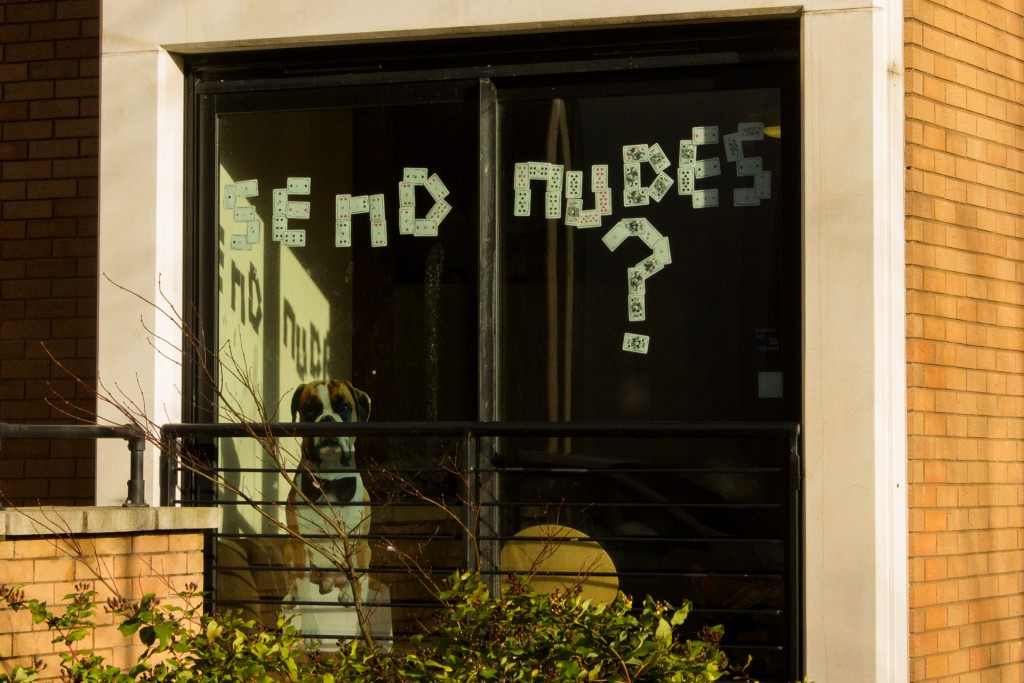 A window reading: 'Send Nudes?' at Endcliffe Village.