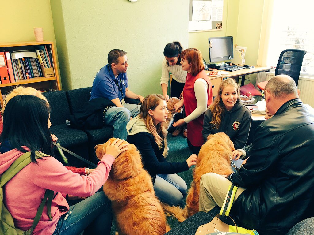 Each room will have two dogs and their handlers, and capacity for six to eight students