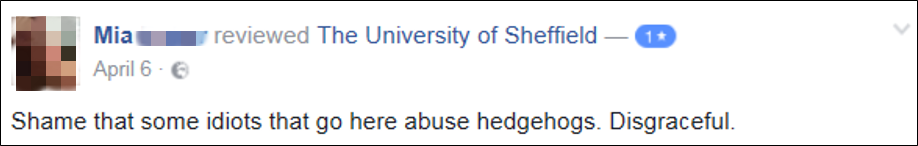 reviews10