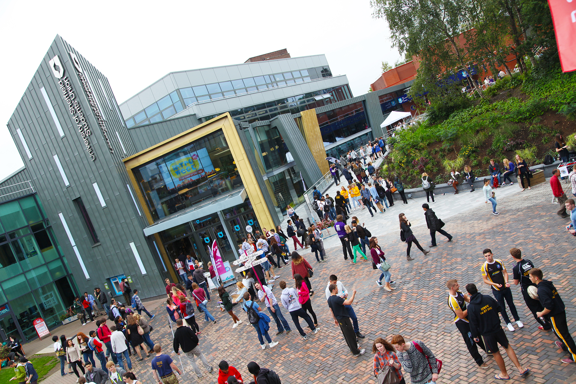 The research will particularly help foreign language learners