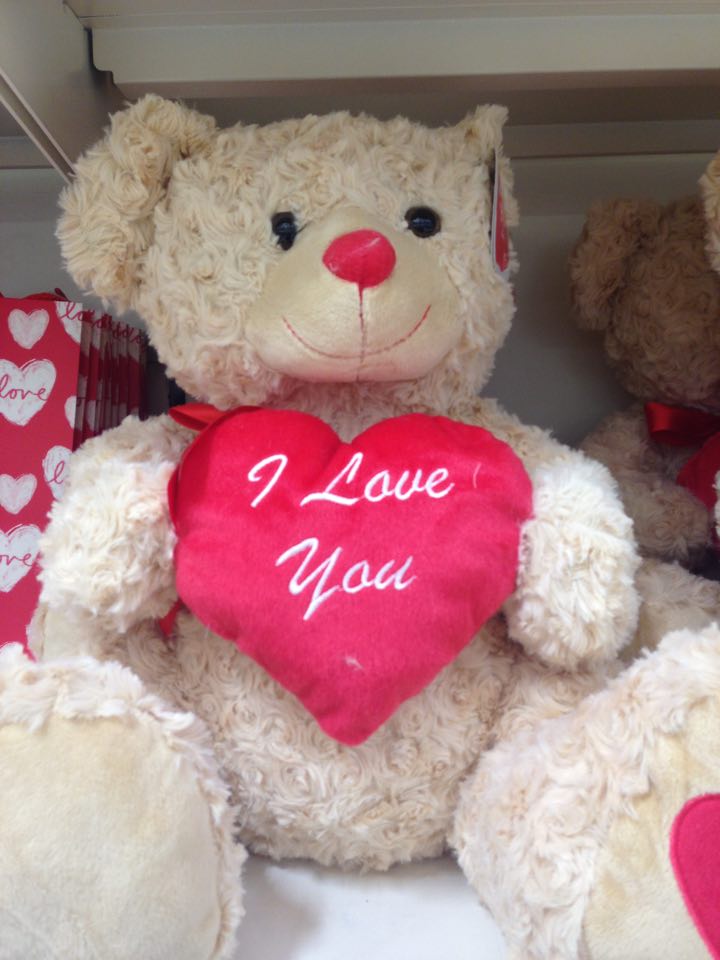 12665590_1558110027835587_1420679260_n