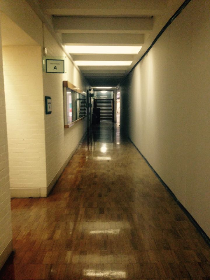 12607360_1550703041909619_316455690_n