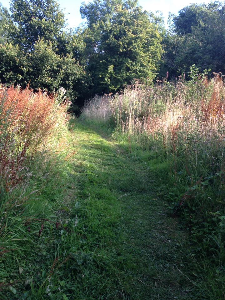 12665797_1558809101099013_1485910708_n