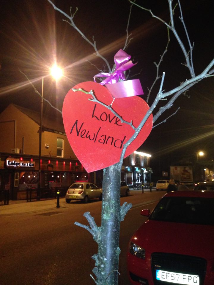 I really, really, really, really like Newland