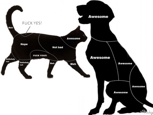At least dogs are easily pleased.
