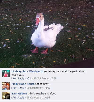 facebook1