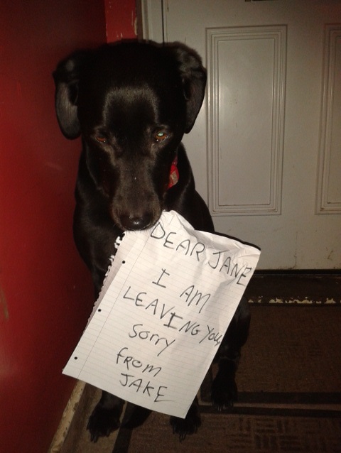 P.S. I want the dog back.