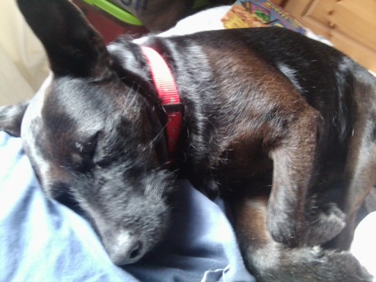 And they don't mind if you take photos of them sleeping...wait, that didn't sound right...