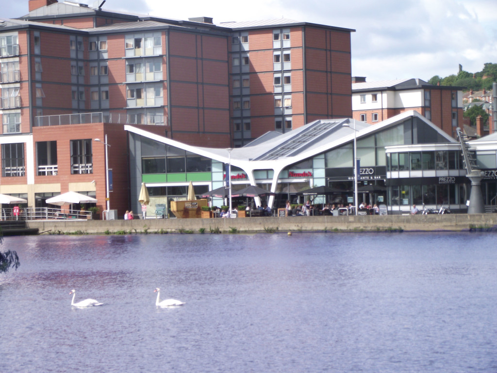 Swans too.