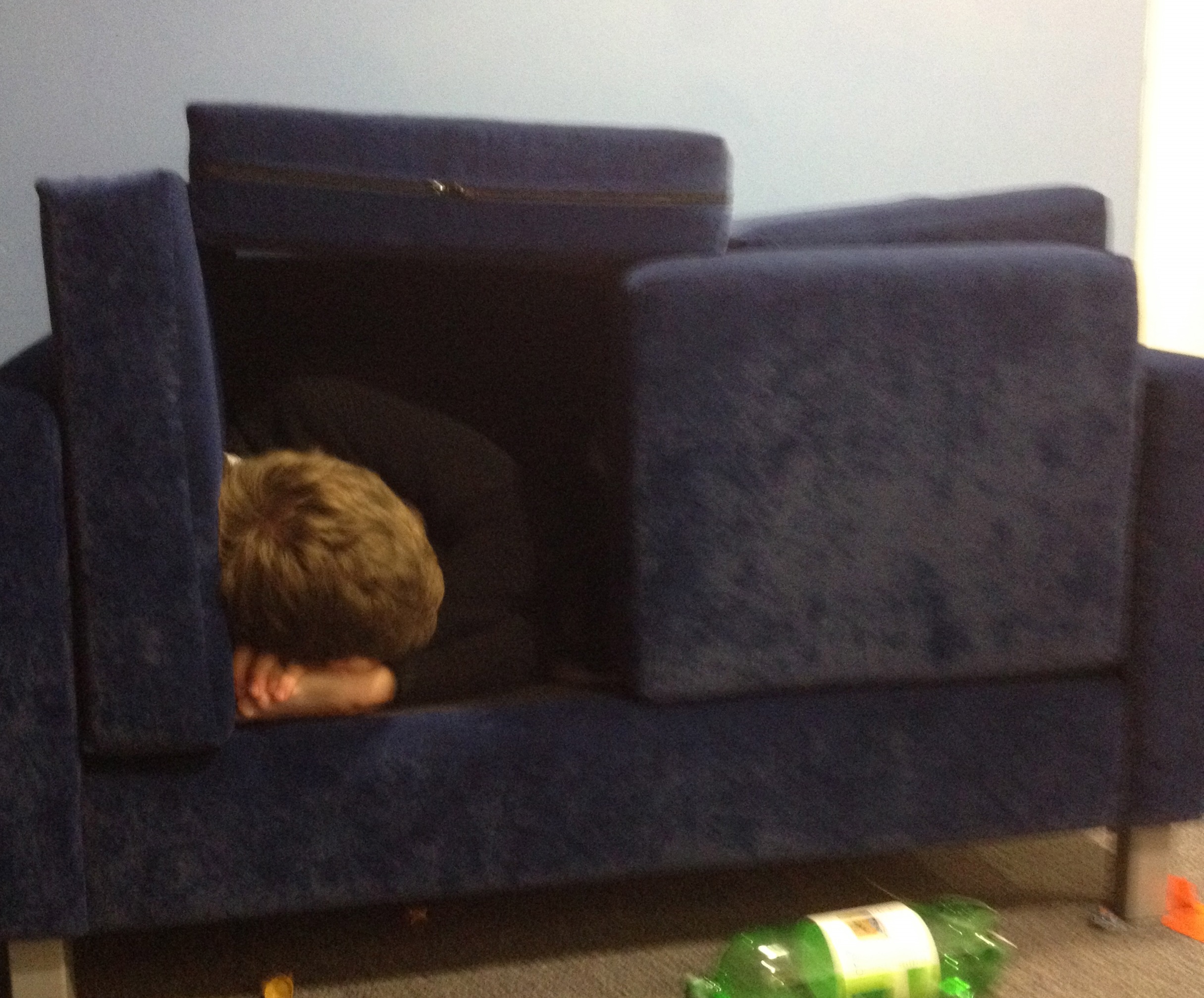 Exhibit C: They can and will sleep anywhere