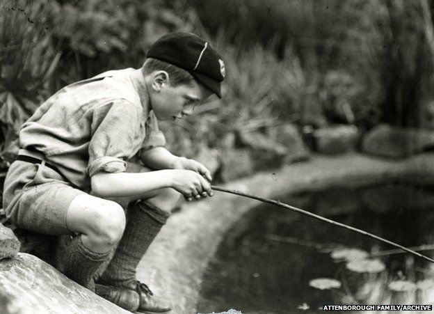A collection of previously unseen family photos have also been released
