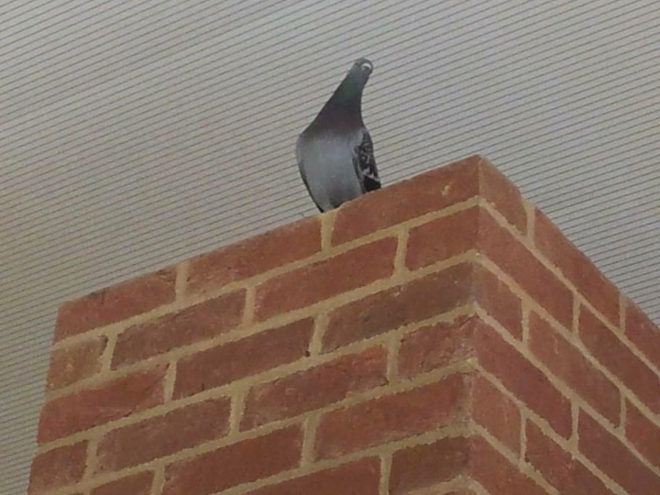He watches over us lowly humans