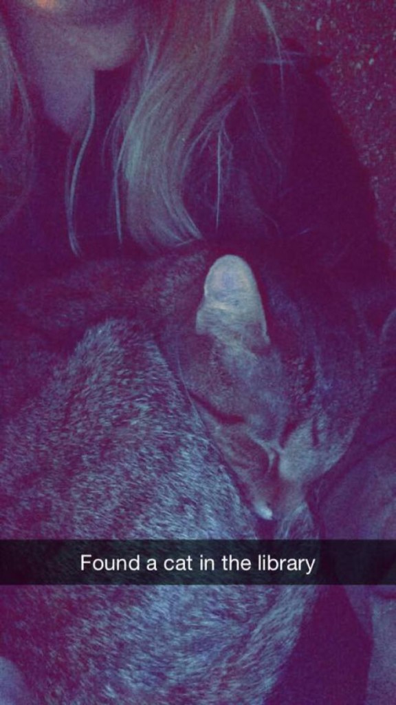 libcat2