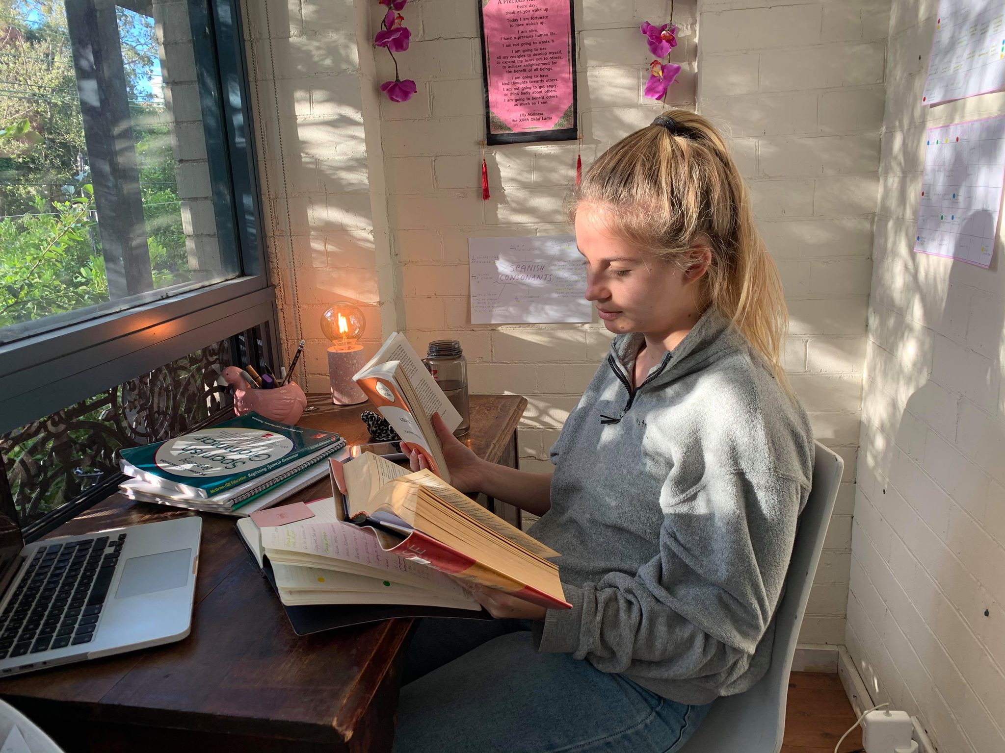 Dissertation tips to get a first image