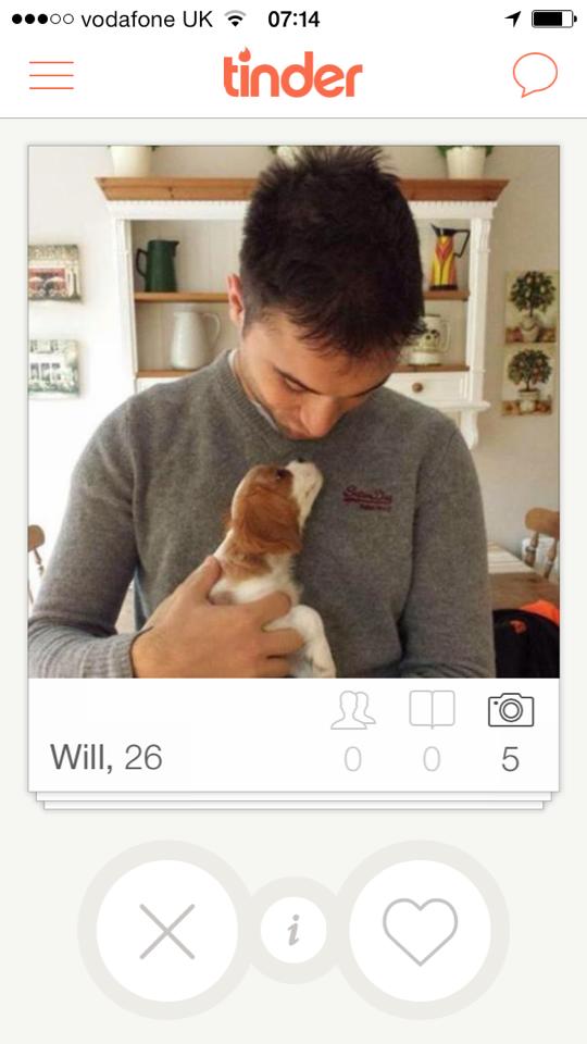 puppy