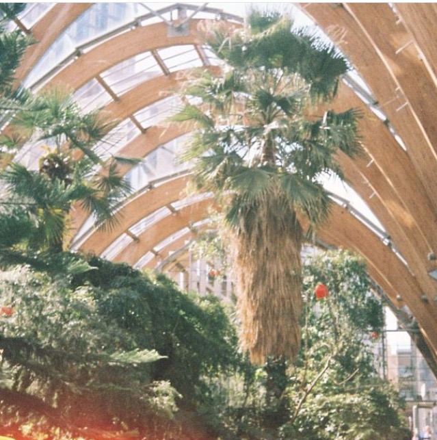 this place is called the Winter Garden