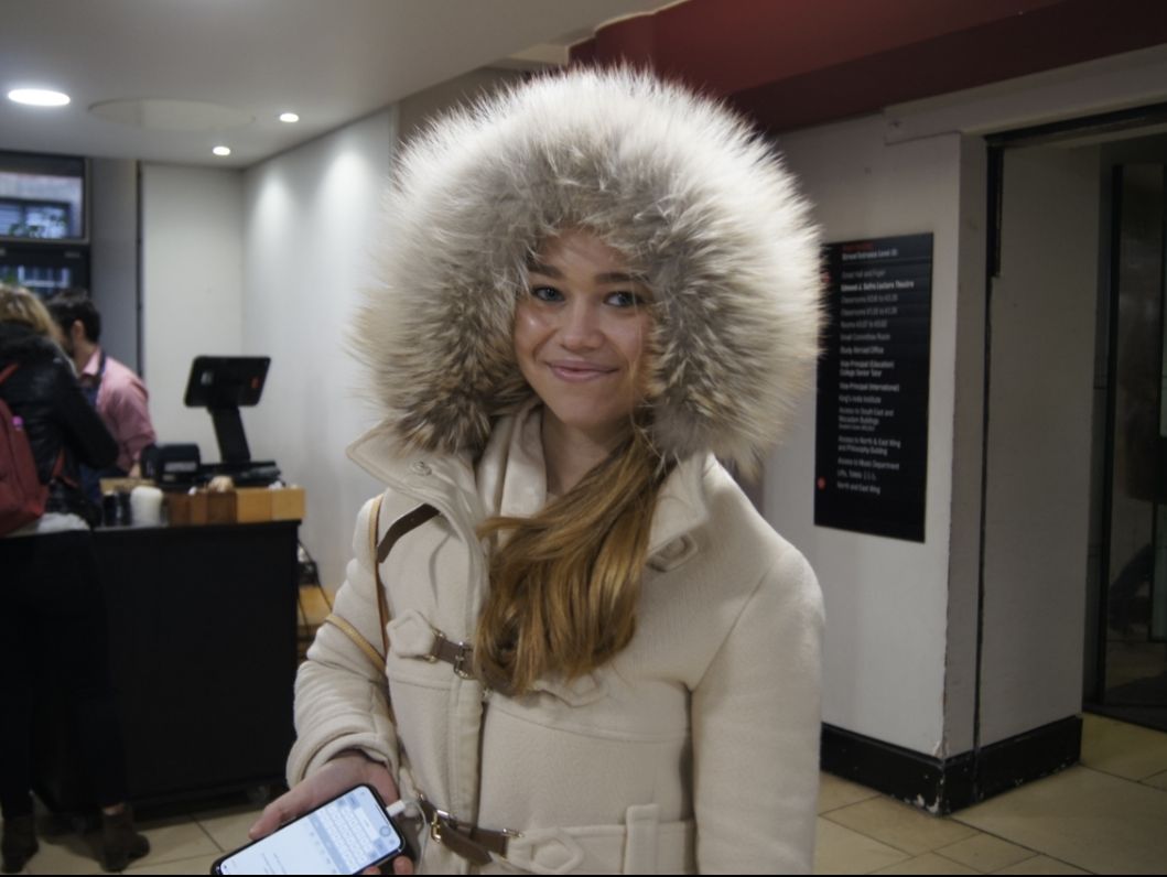 Image may contain: Pc, Laptop, Electronics, Computer, Hair, Afro Hairstyle, Person, People, Human