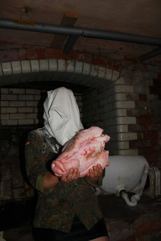 Pig Head (Tab)