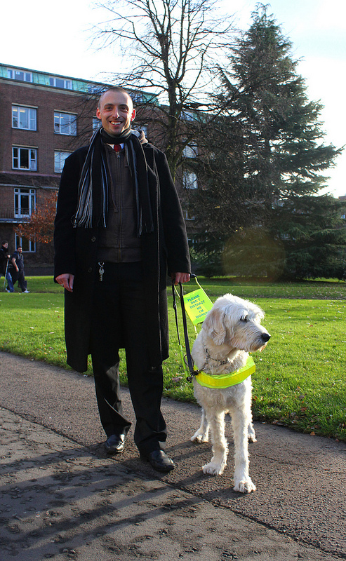 Meet Harry, the labradoodle