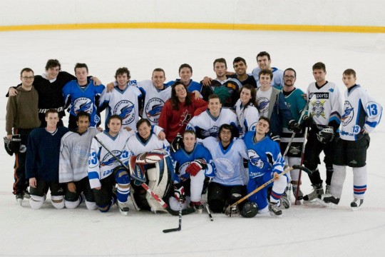 IceHockeyTab2