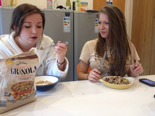 Granola or Risotto?