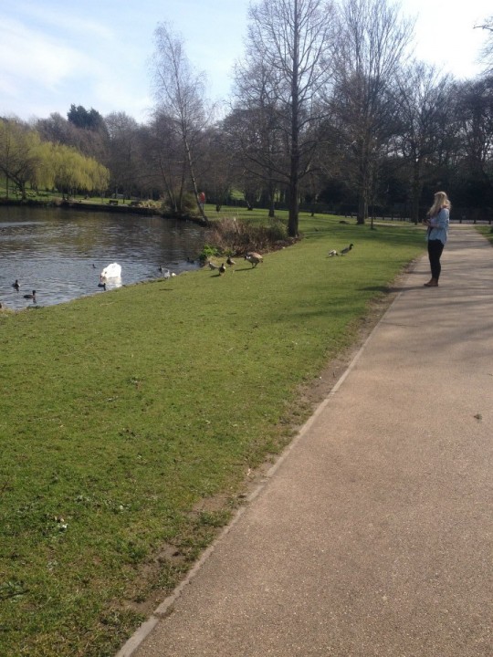 Students have missed out on living in 'The Vale' - many people's first choices.