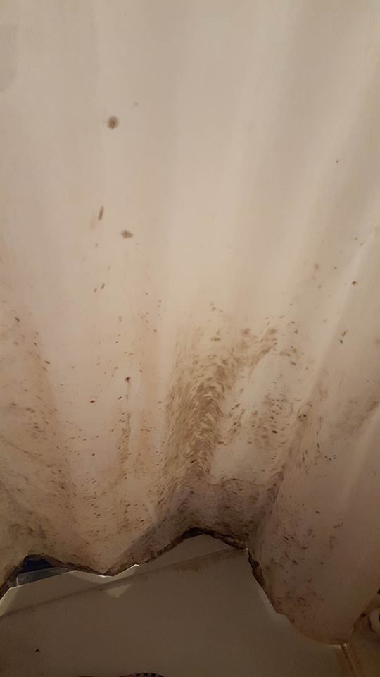 mould4