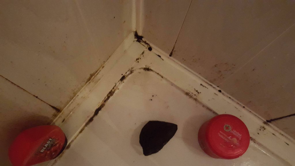 mould5
