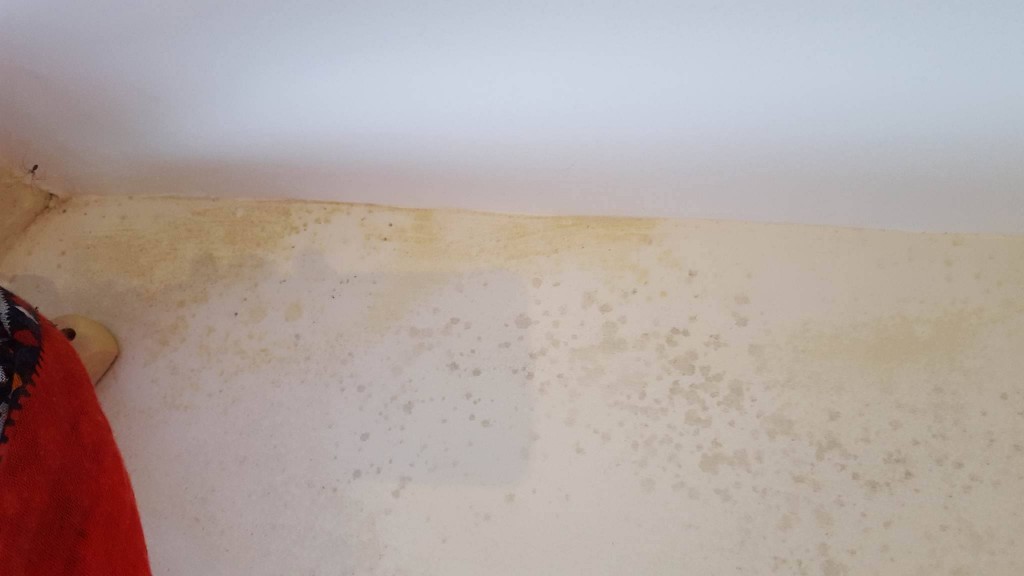 mould9