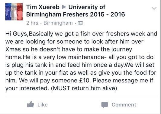 "MUST return him alive"