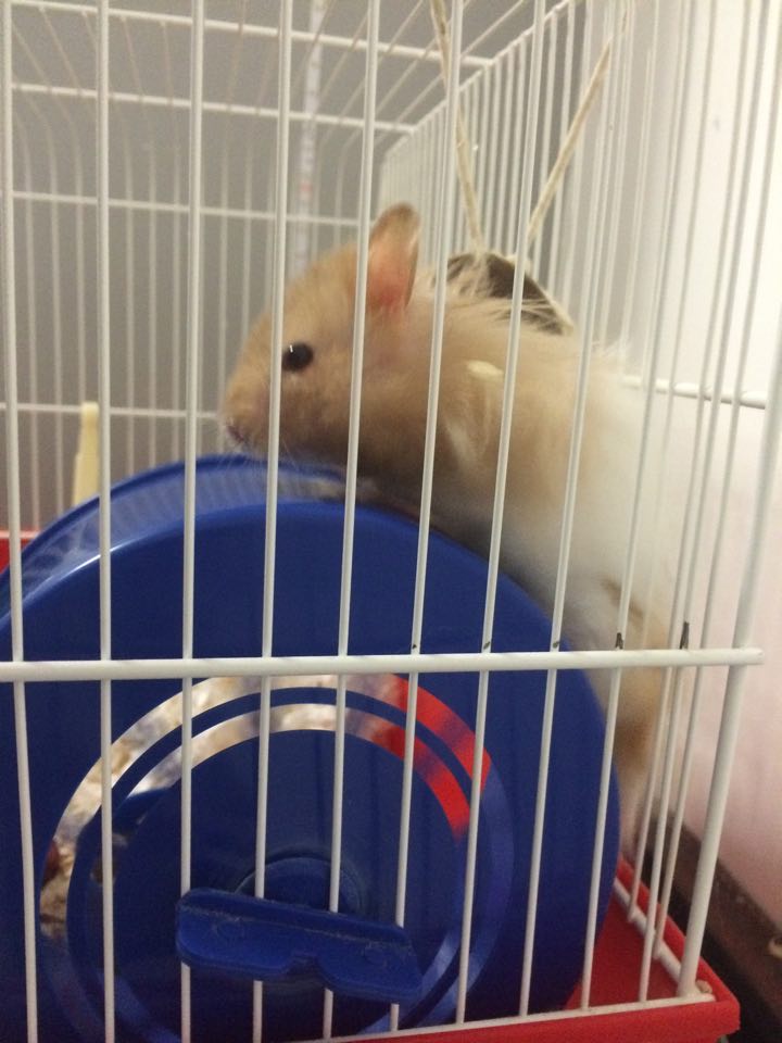 Getting away with it, all his life...