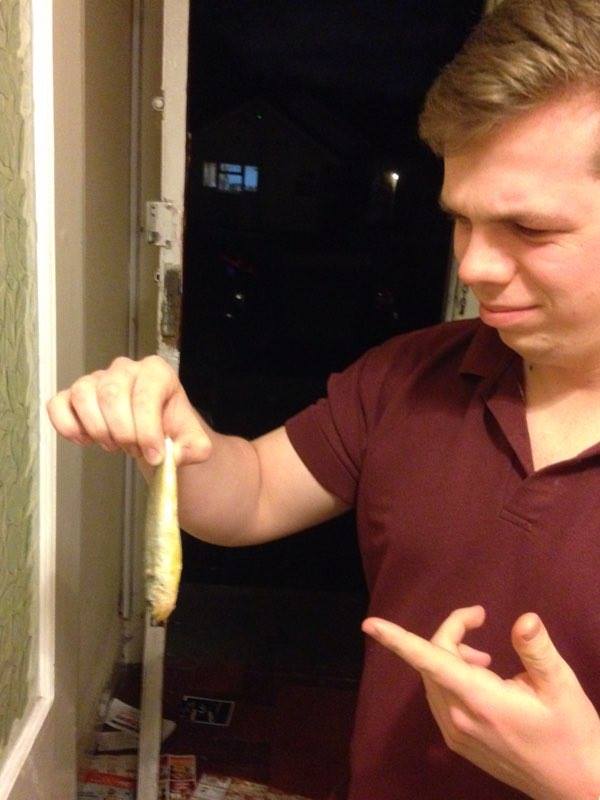 Where did the fish come from???