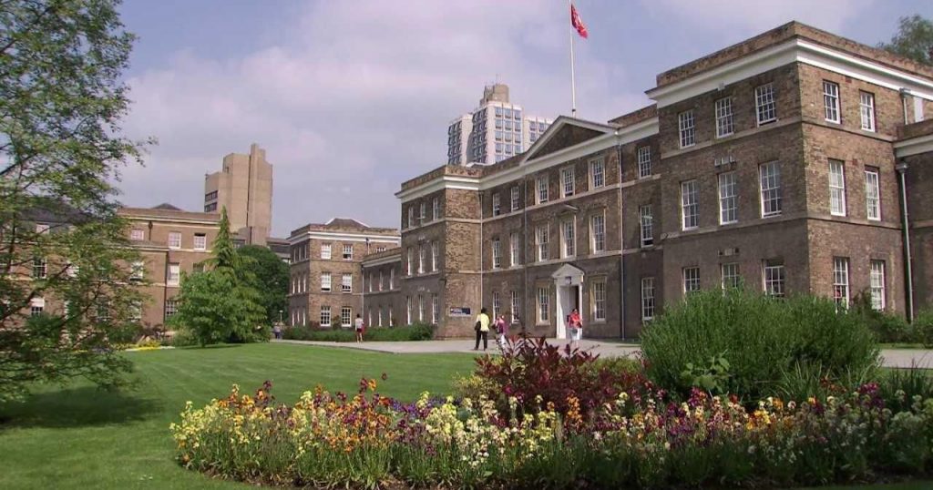 Image may contain: Yard, Plant, Flora, Outdoors, Garden