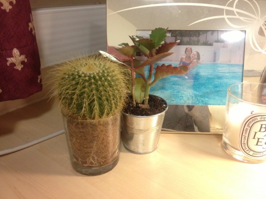 This is Spikey Dave and Mr. Pleb.