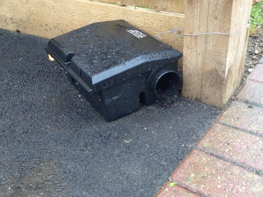A Rainy Rat Trap