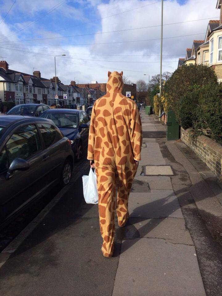 Just a casual Thursday morning.